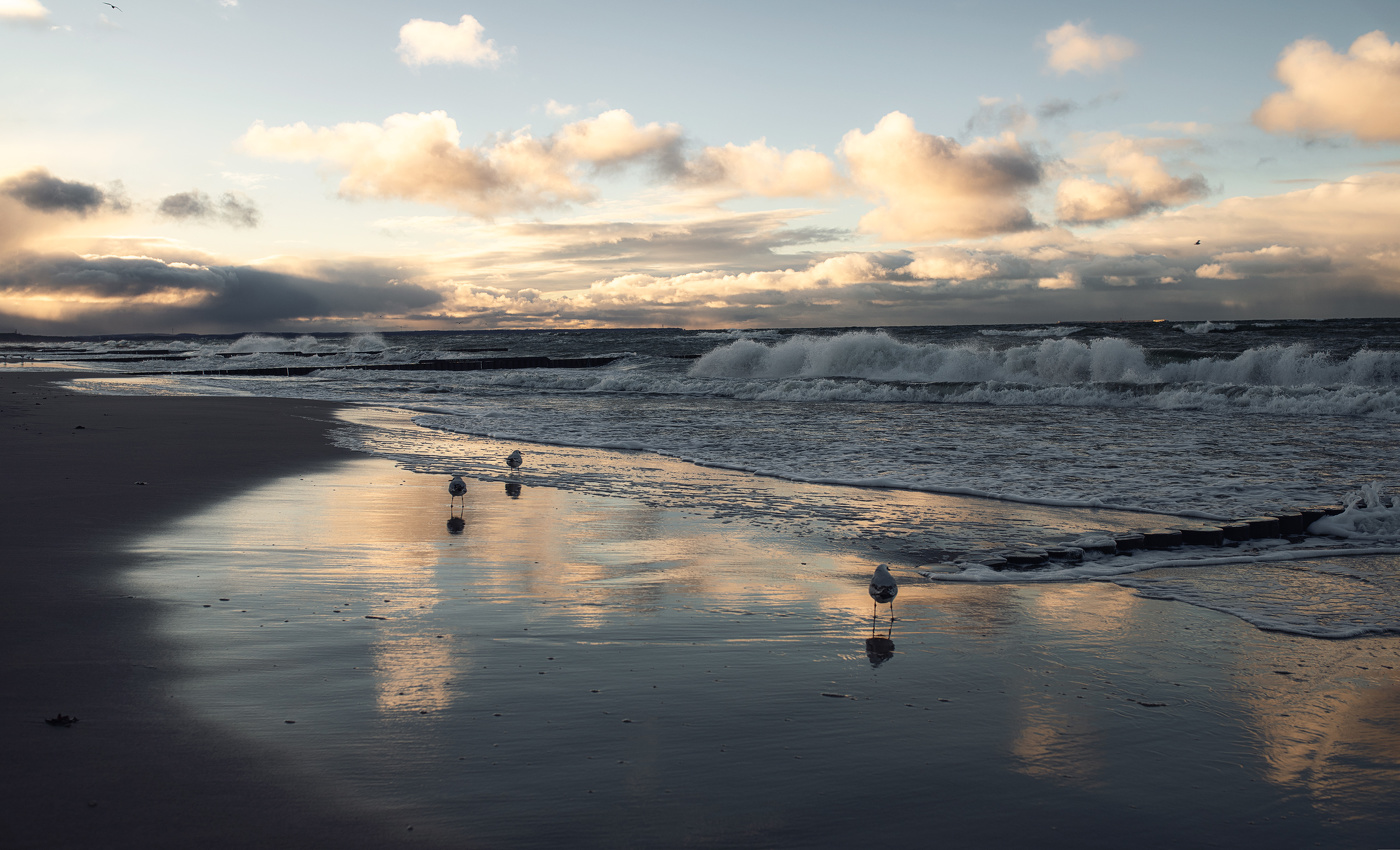 Балтийское