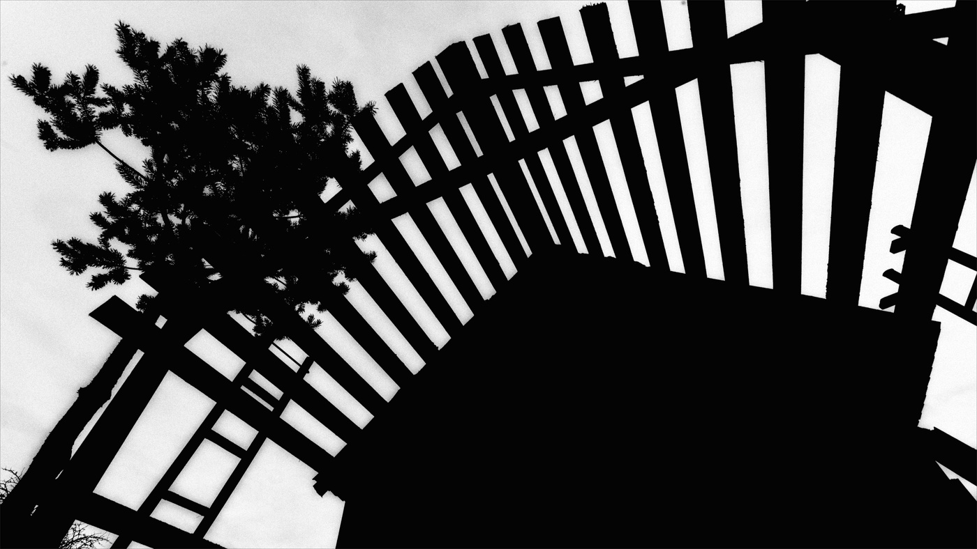 Жизнь вокруг