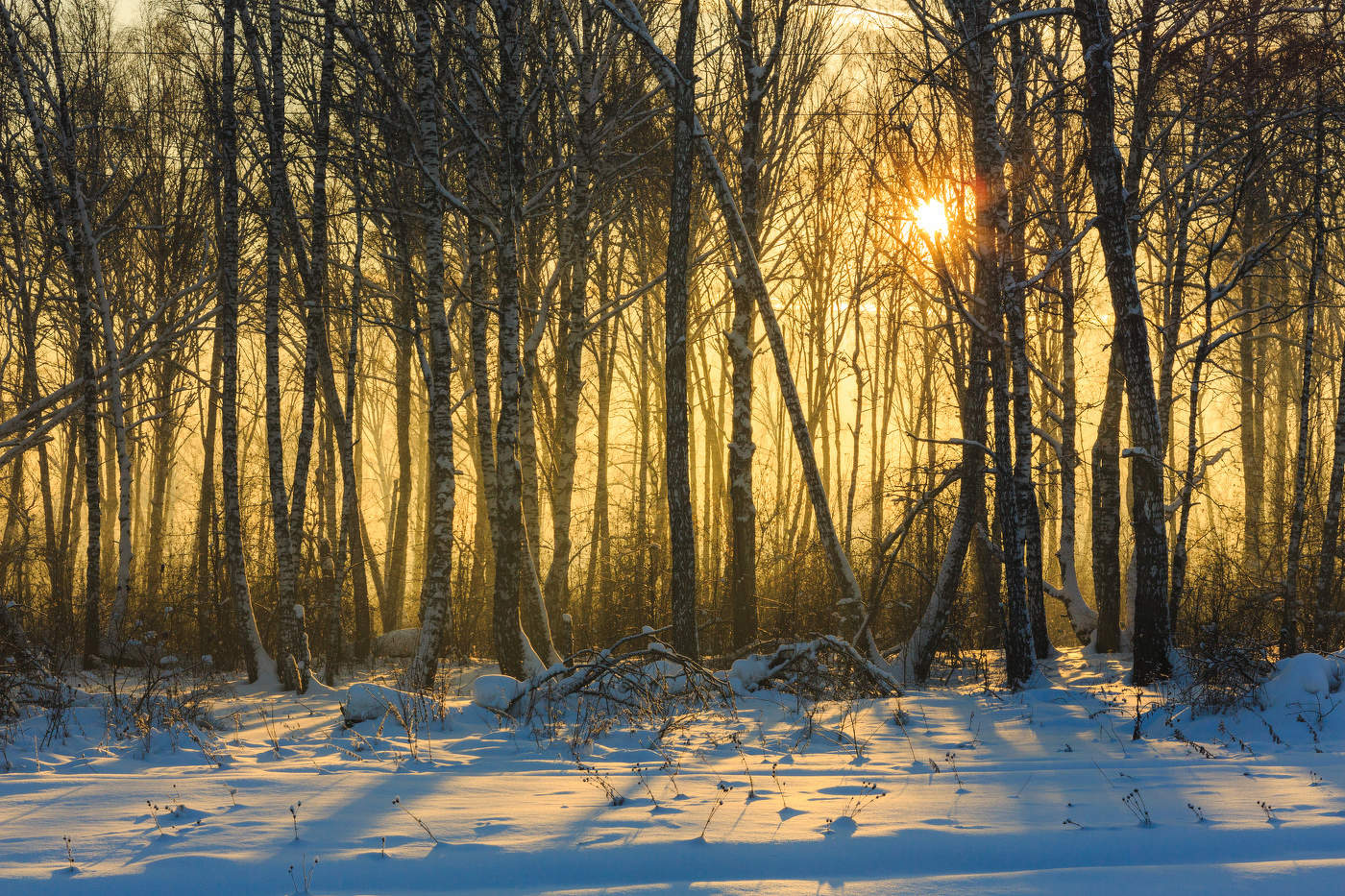 Морозный закат