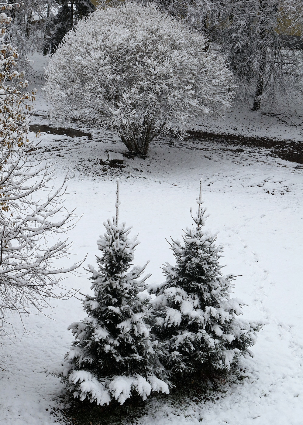 Где ты, ЗИМА_1