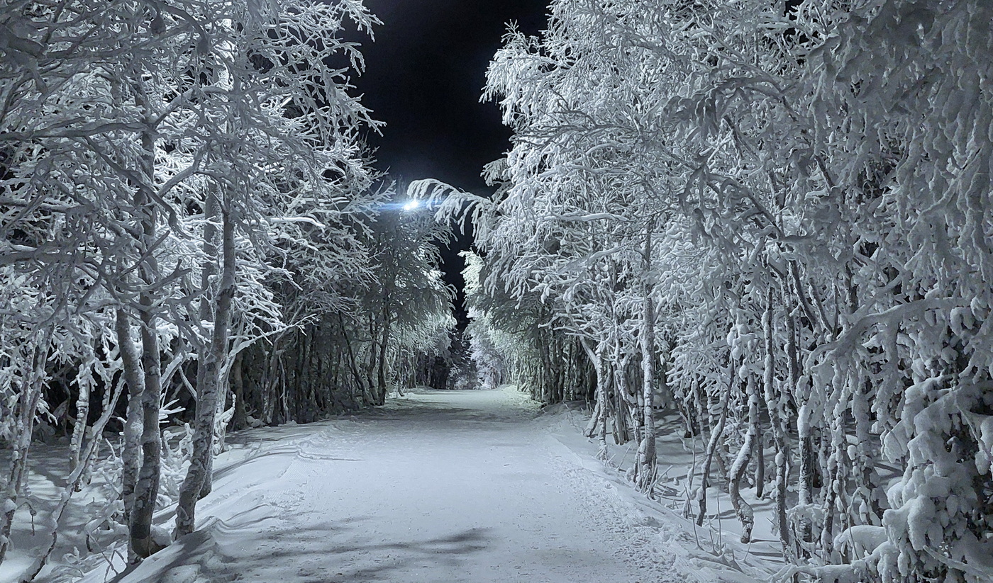 Где ты, ЗИМА _ 2