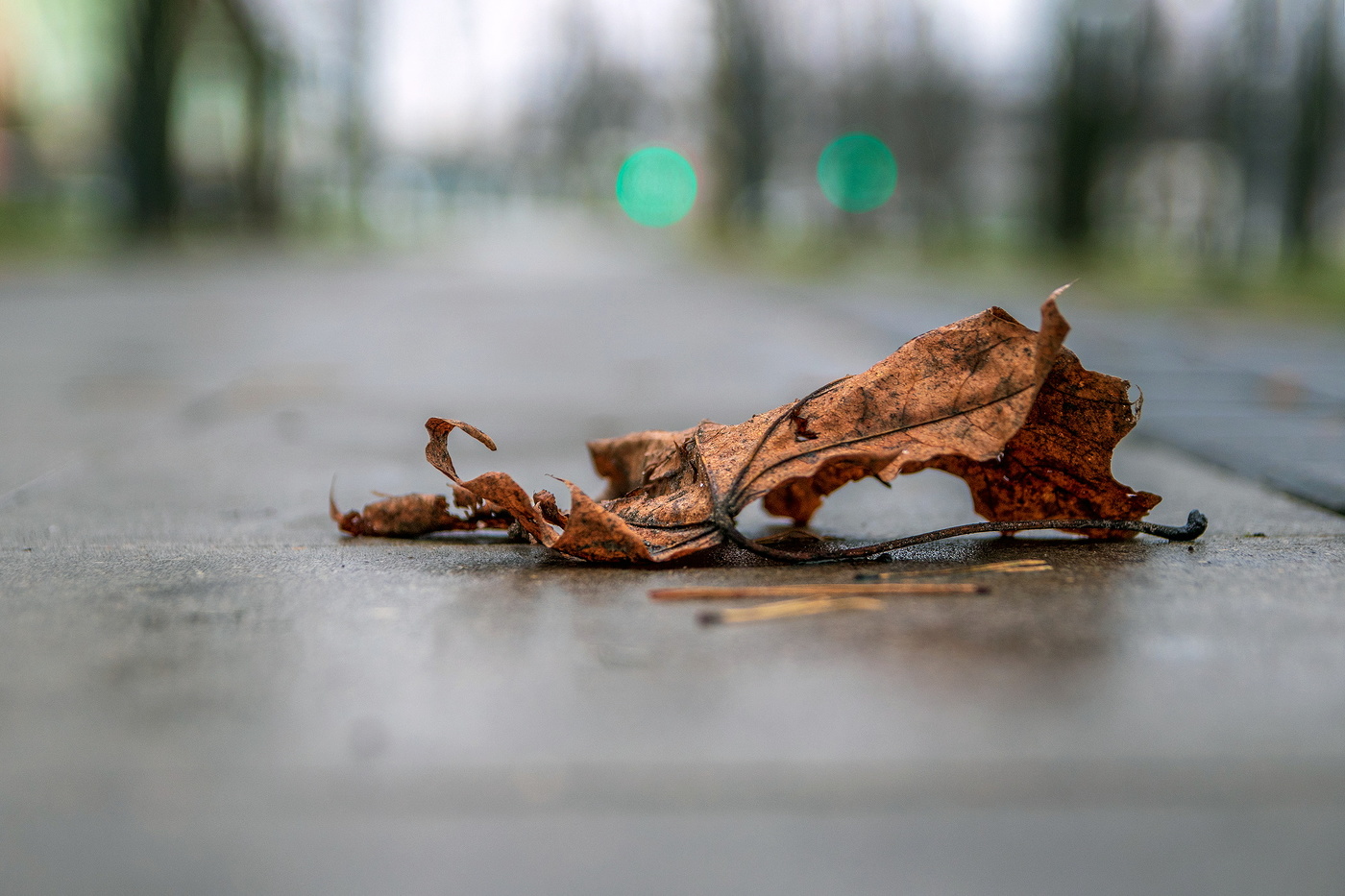 Упал последний лист ...