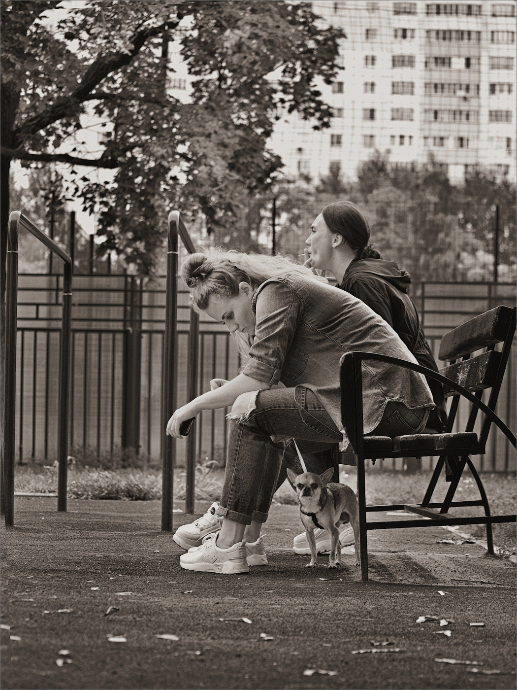 На скамейке...