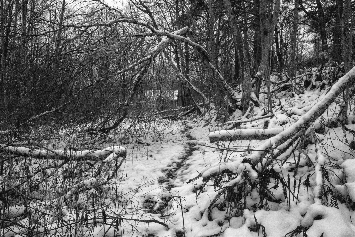 Жизнь вокруг