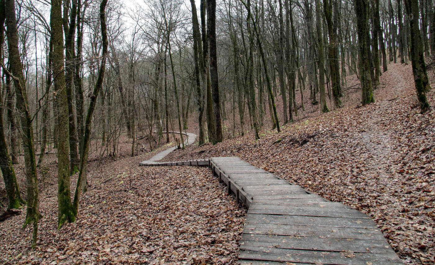 За поворотом будет зима.