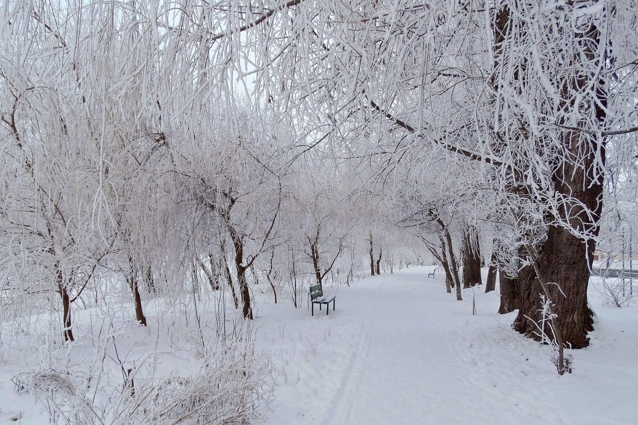 Вот и зима наступила