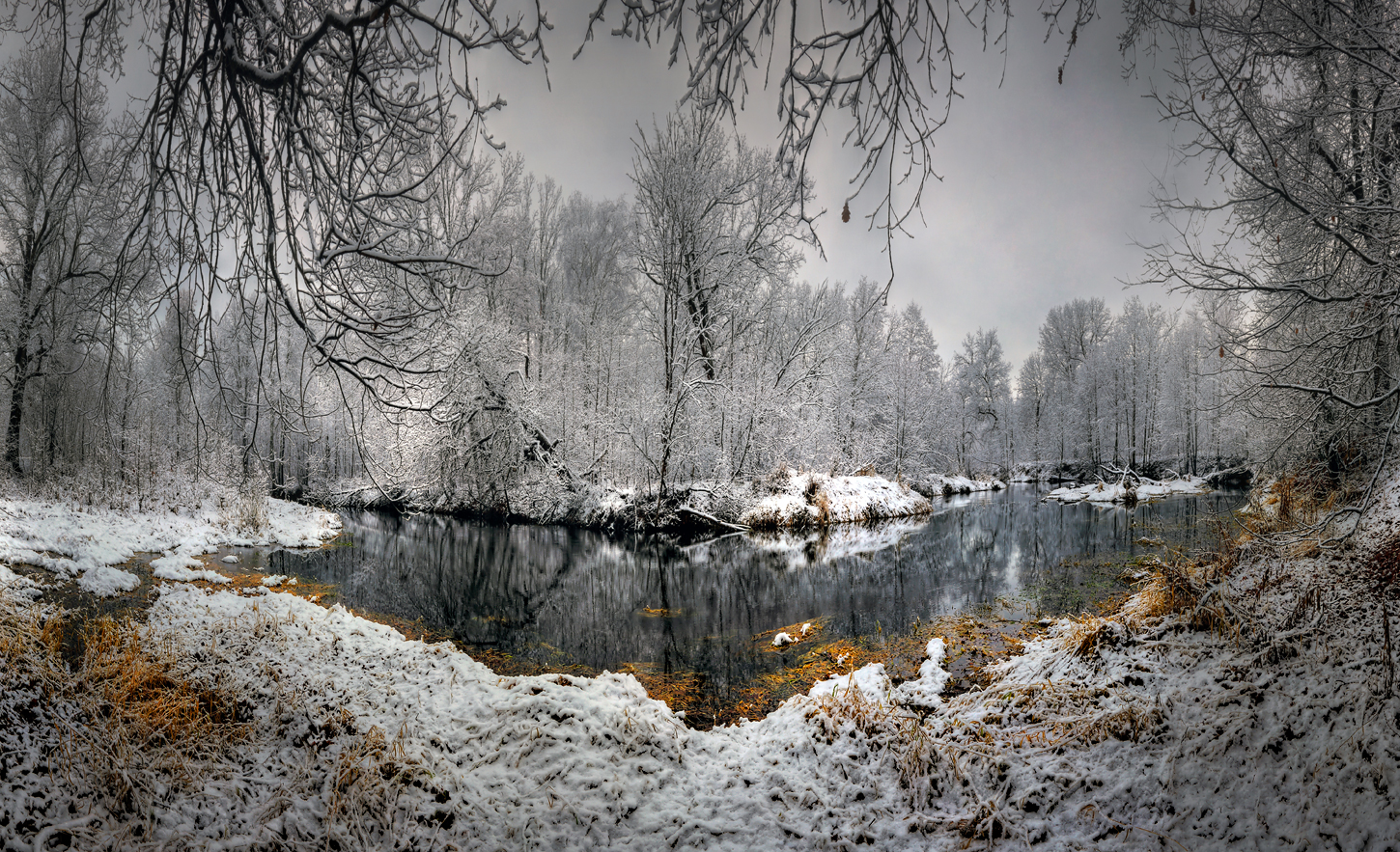 Осень на излёте ноября..