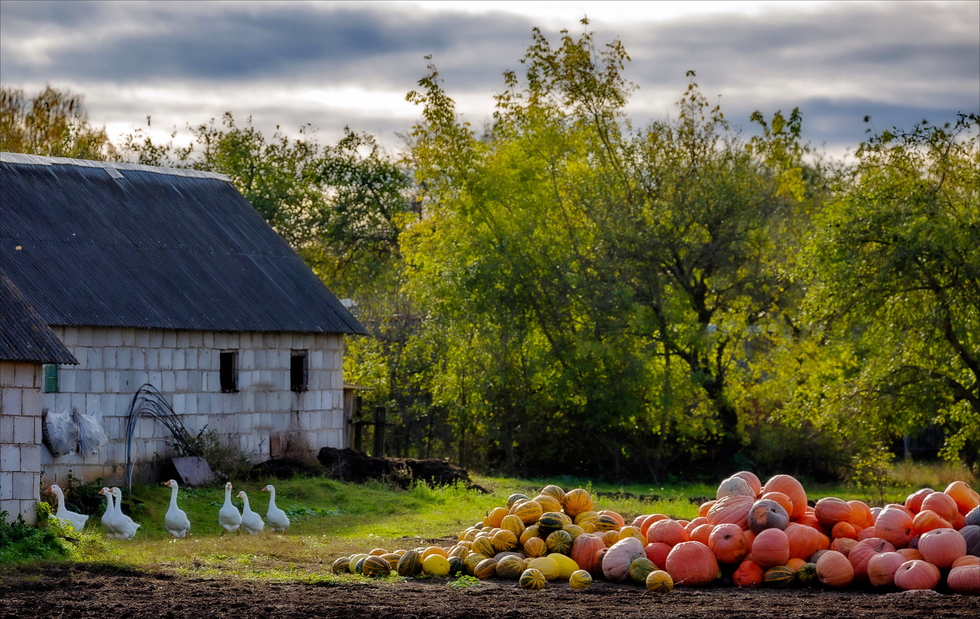 Осенний бенефис