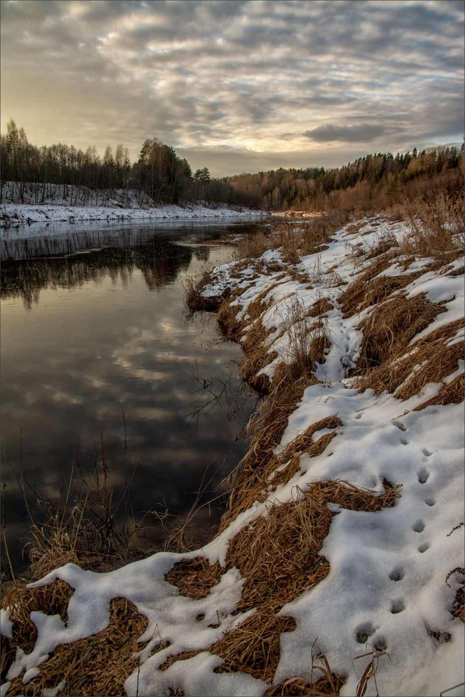 Жизнь вокруг