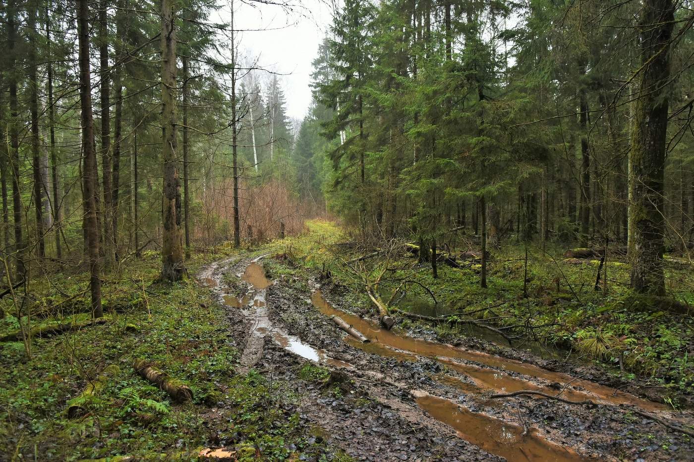 "Грусть воцарилась, безнадежная унылость ..."