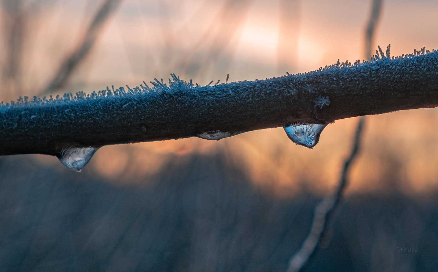 Замёрзшие капли.