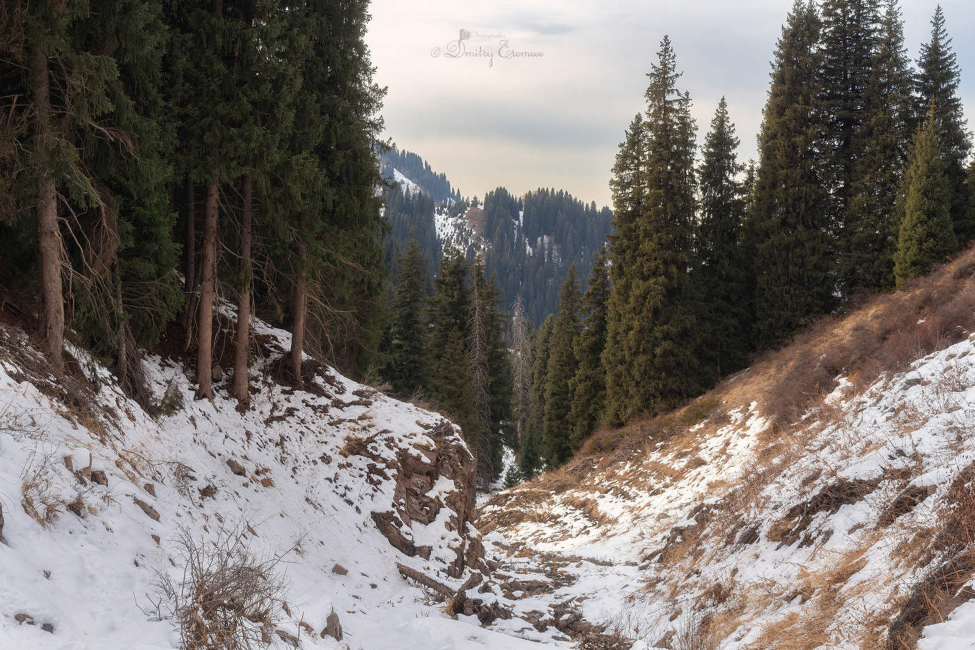 Горными тропами...