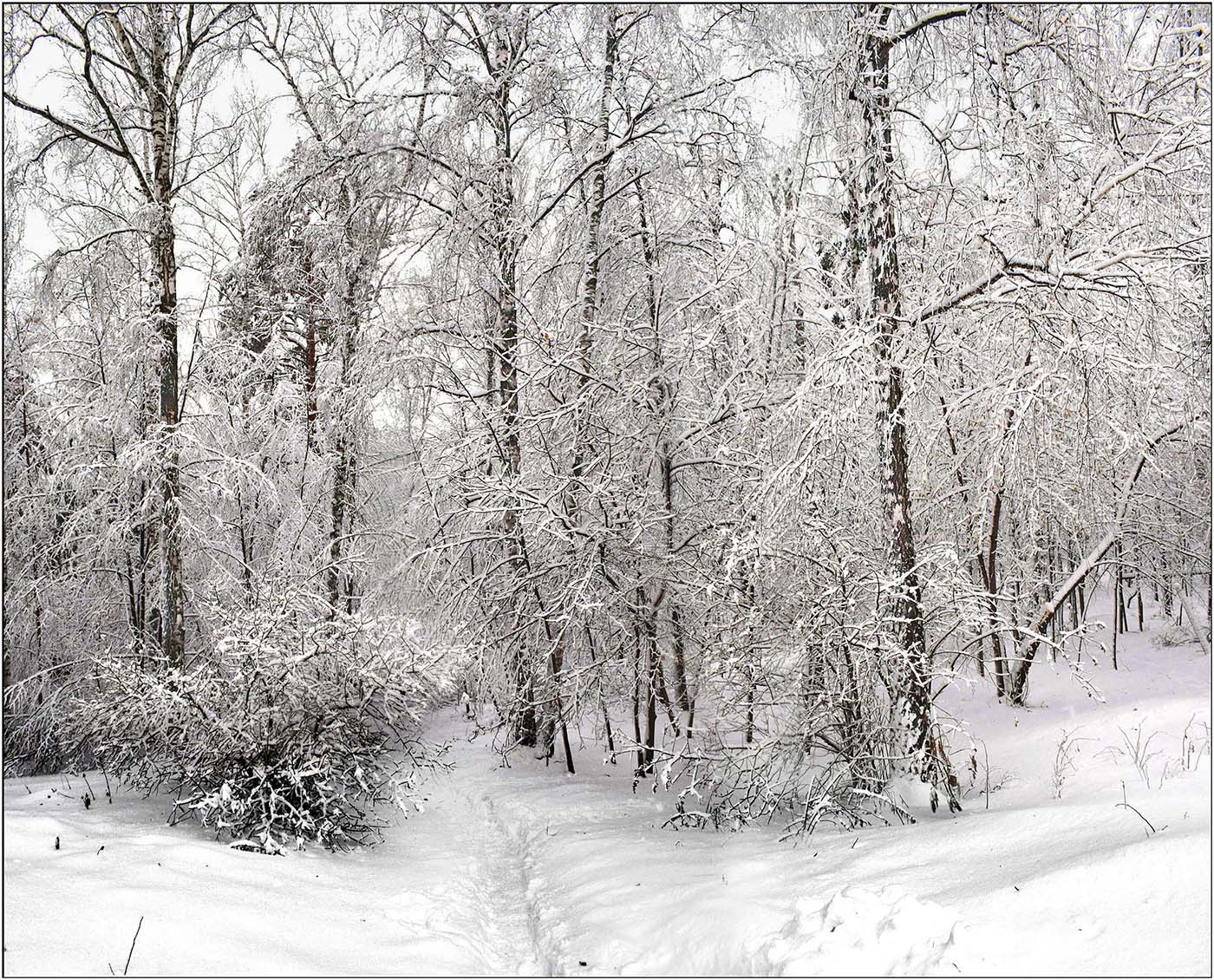 В ноябре 2025