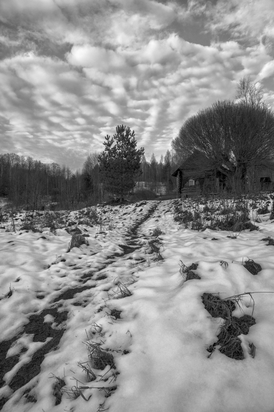 Жизнь вокруг