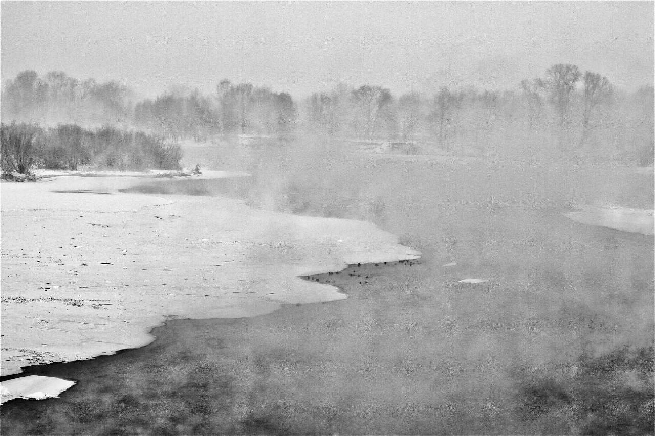 ЗИМУШКА СИБИРСКАЯ 