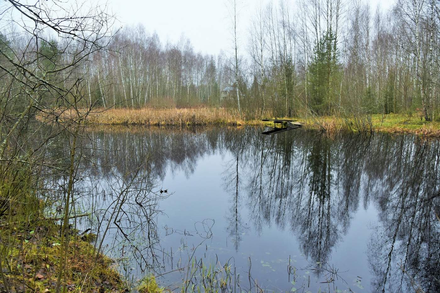"Повсюду роковая молчаливость ..."