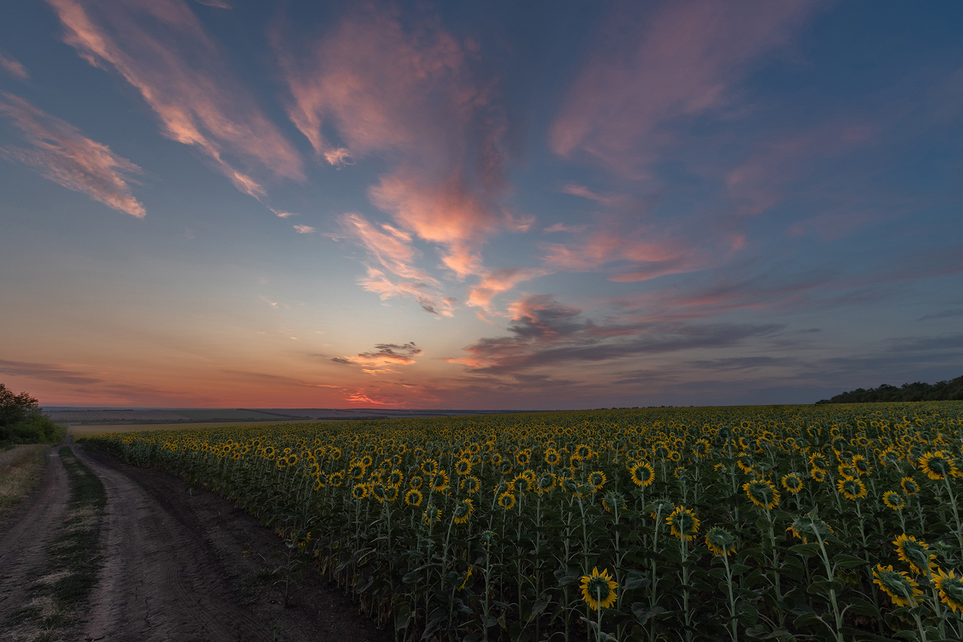 В ожидании солнца