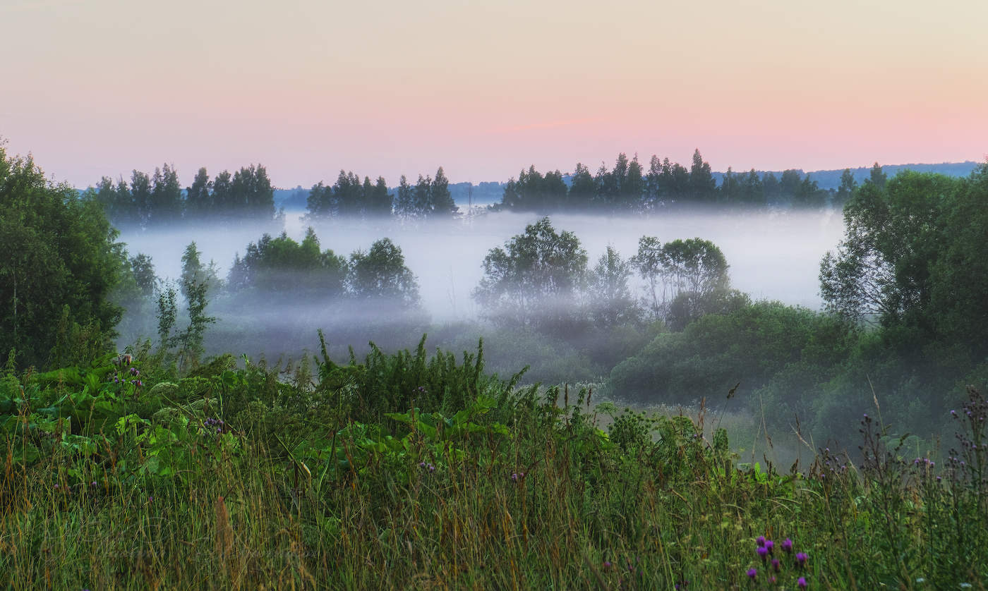 Прохладное утро