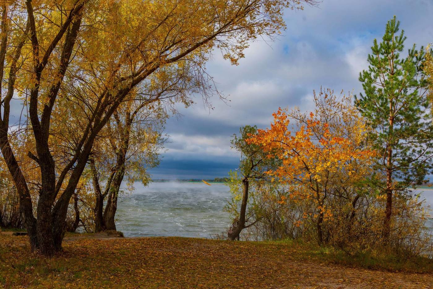 Падают листья.