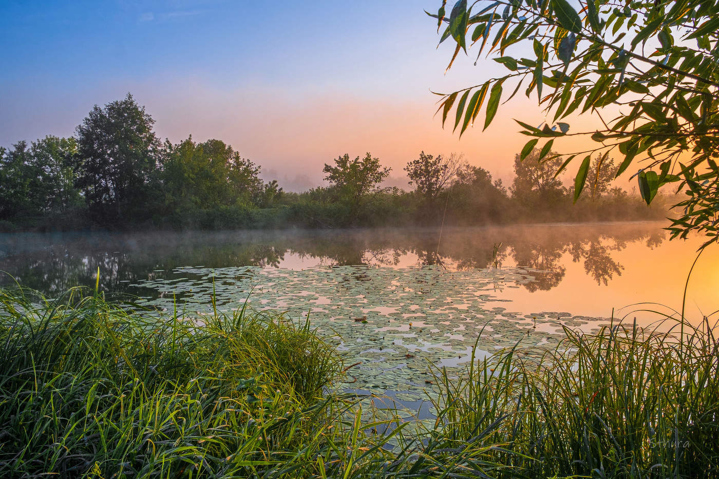 Румяный рассвет.