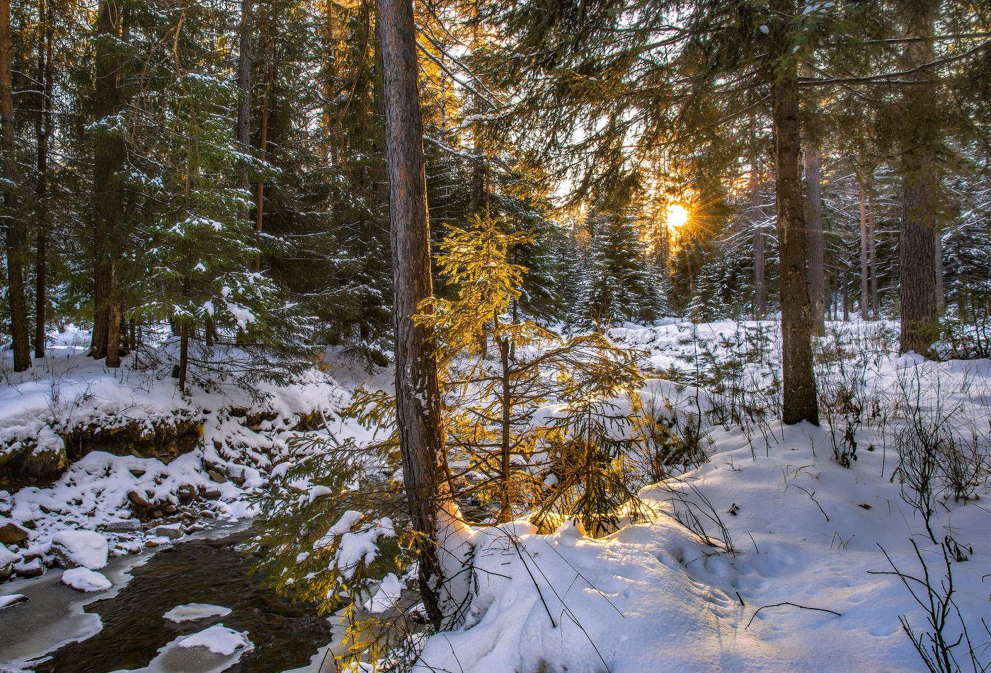 Вечерний свет