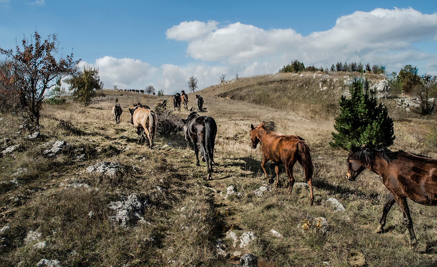 Природа высокогорья