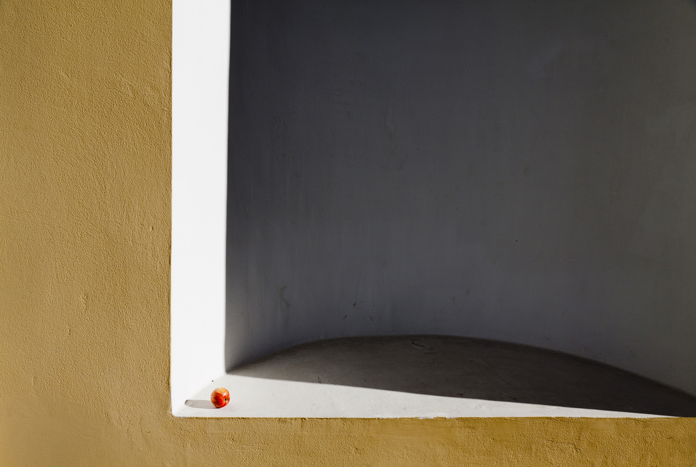 Царскосельские парки 8