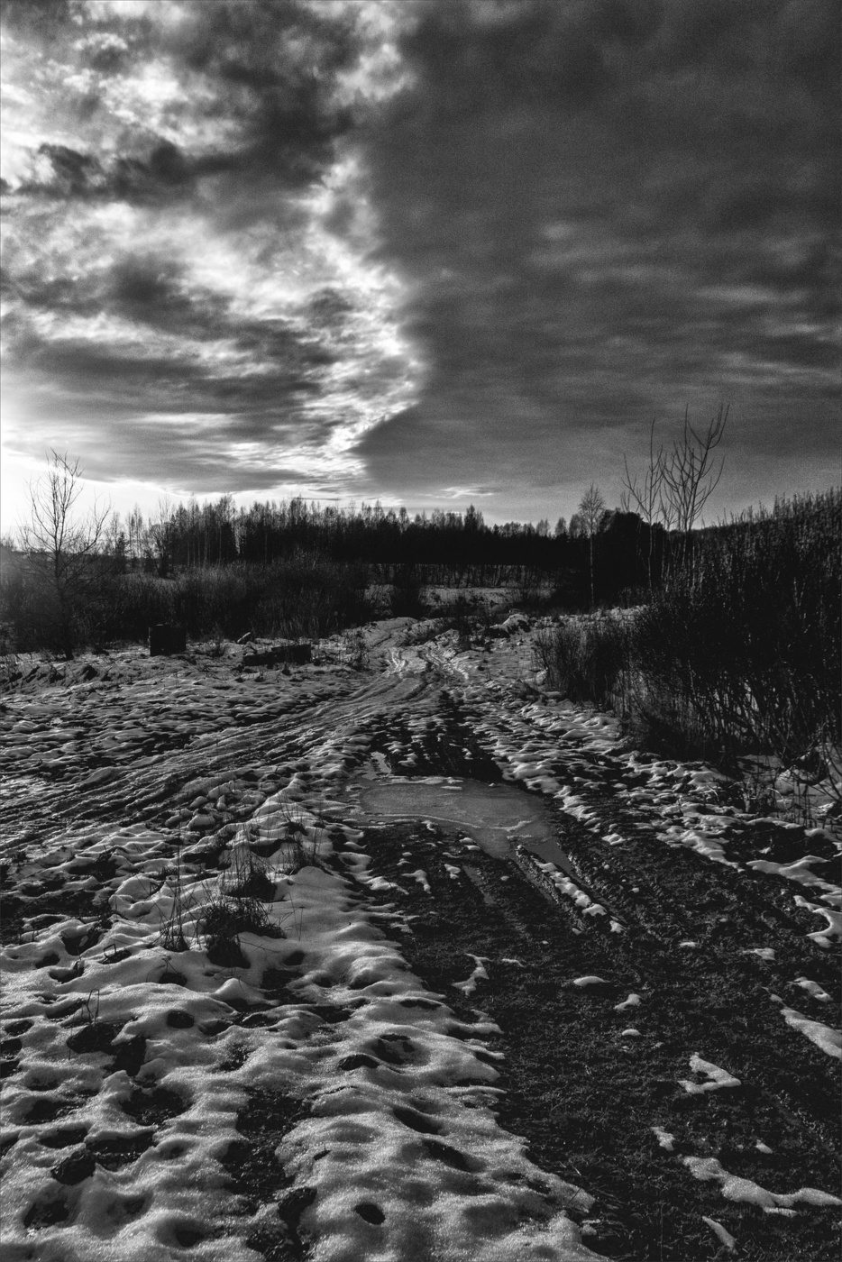 Жизнь вокруг