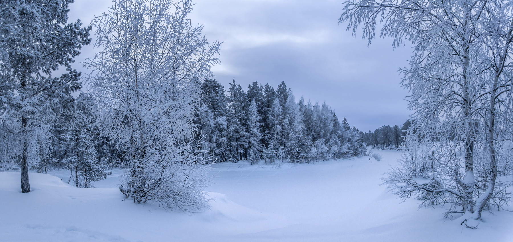 И холод тишиной владеет...
