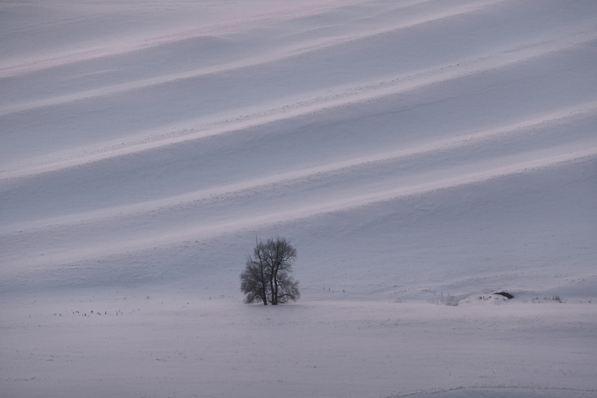 "Деревья и фактуры"