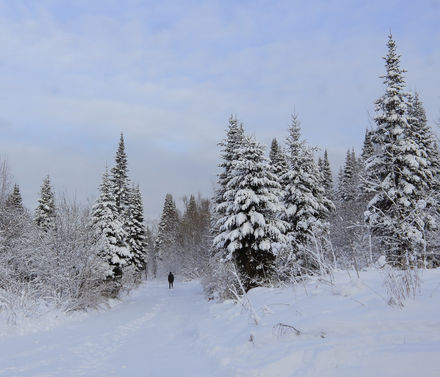 Первый день зимы