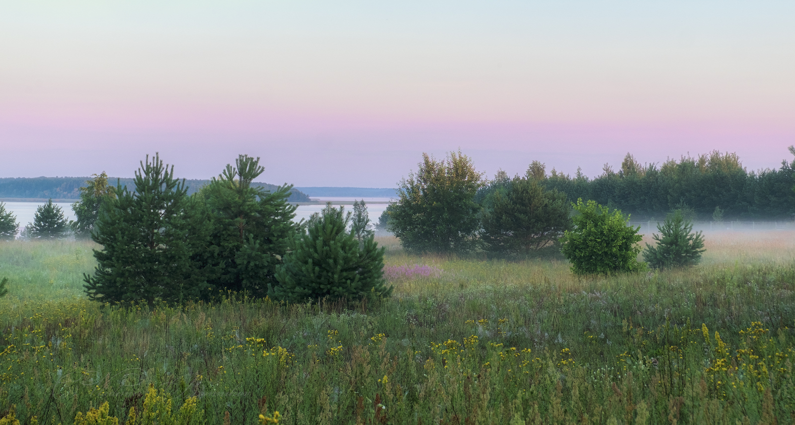 Рассвет на поляне