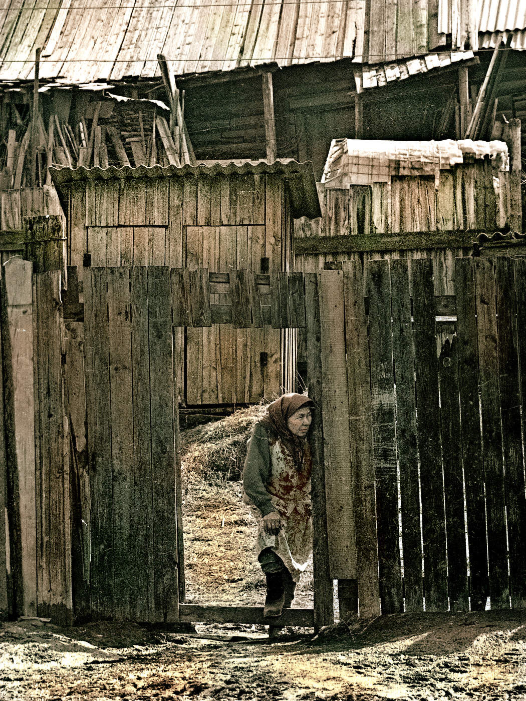 Любопытство