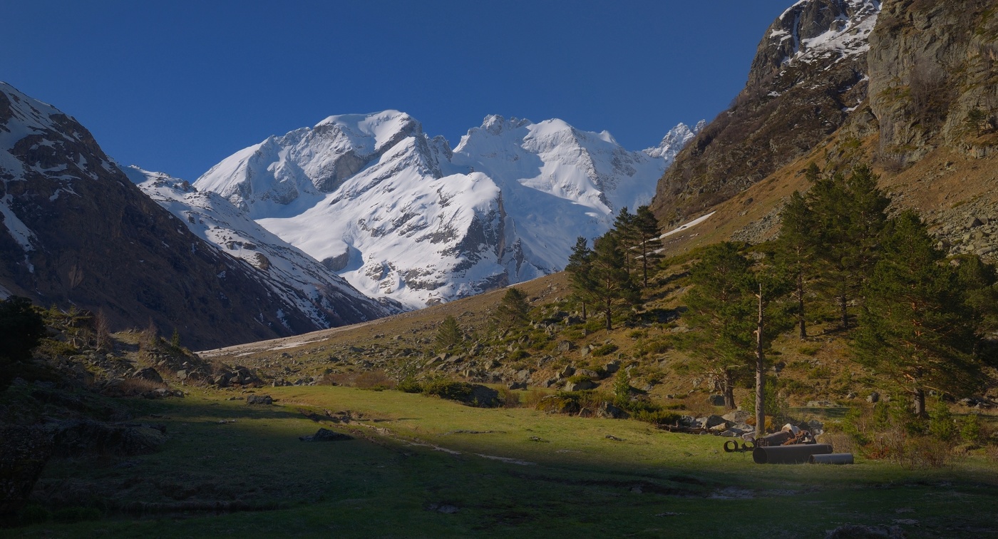 Весеннее утро