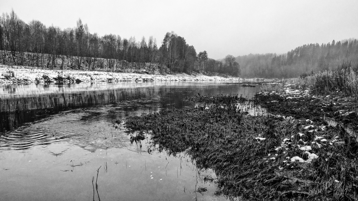 Жизнь вокруг