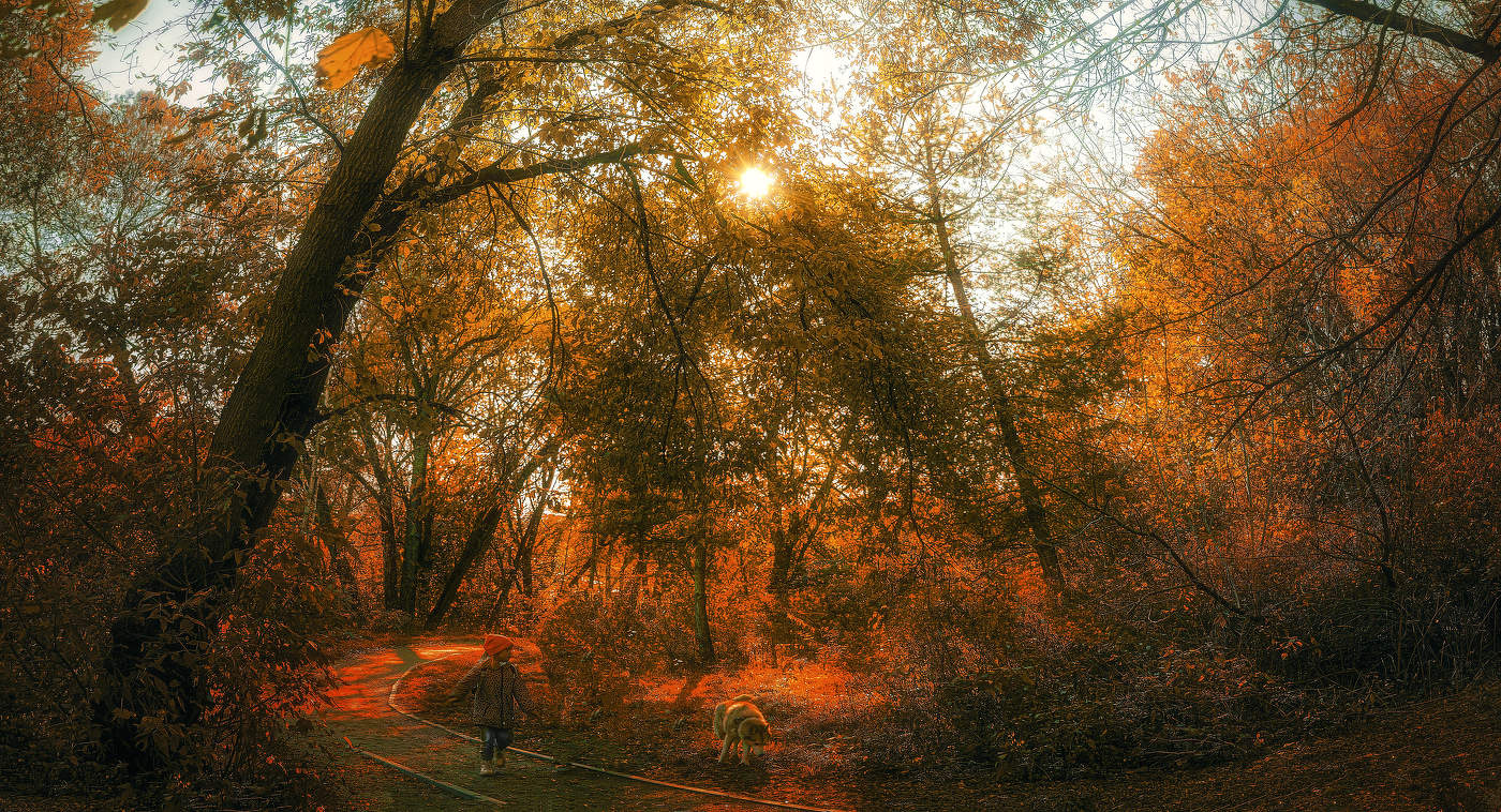 Красная шапочка.