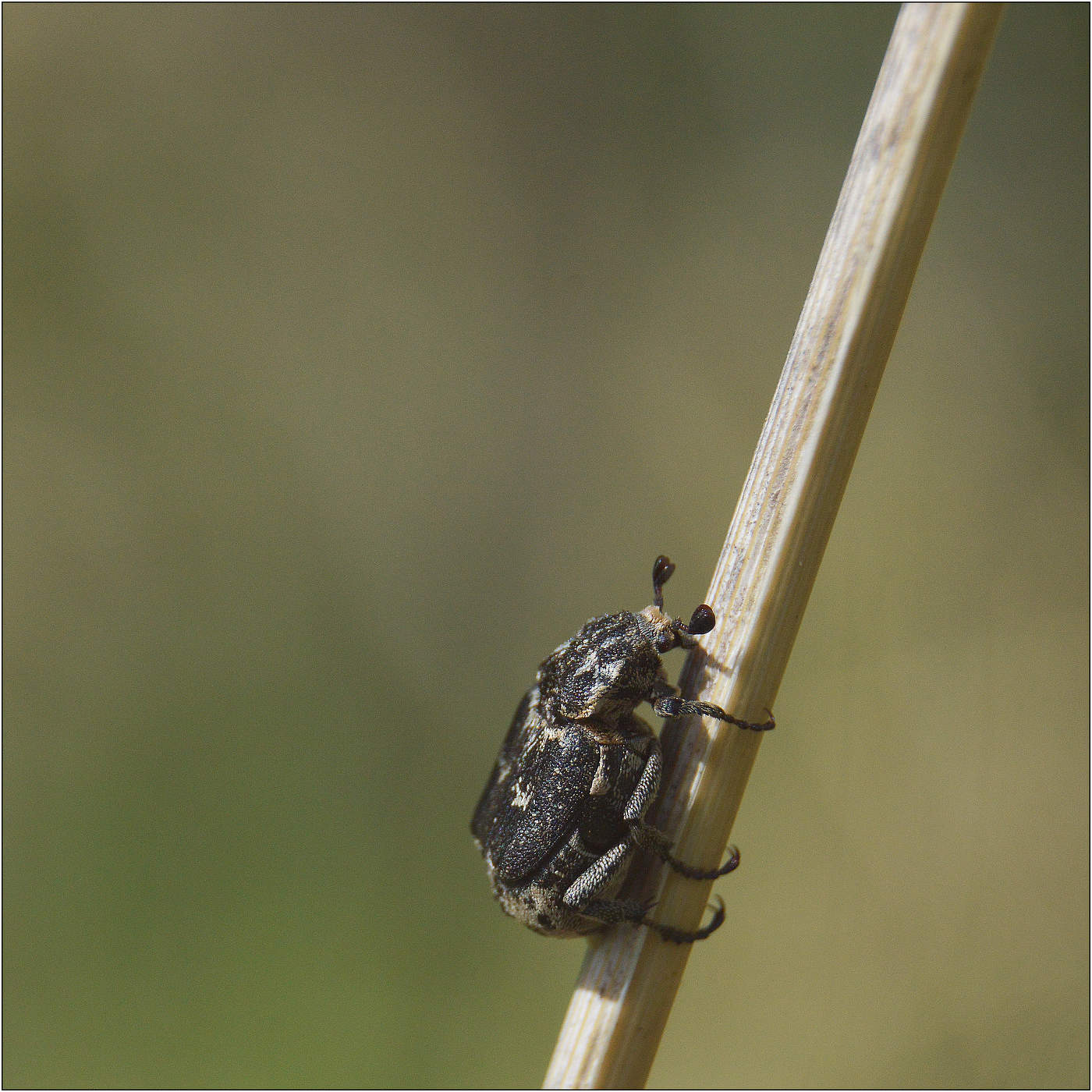 Я держусь...