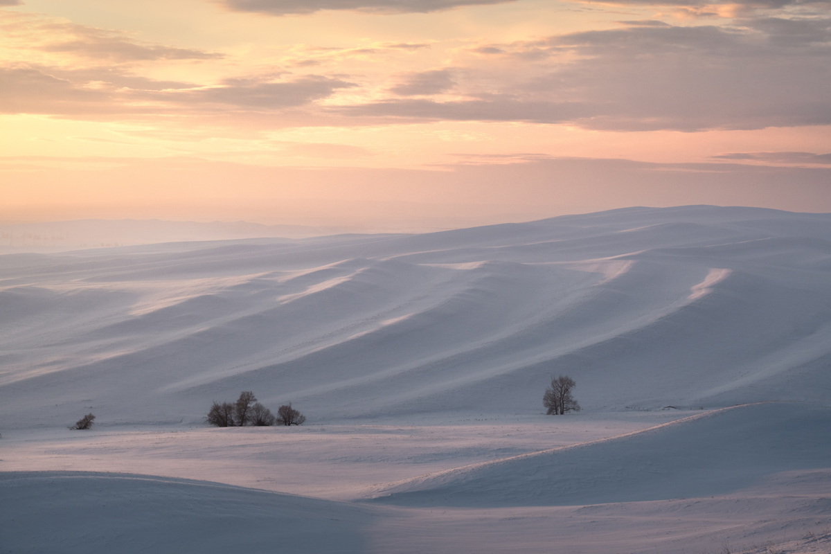 "Деревья и фактуры"
