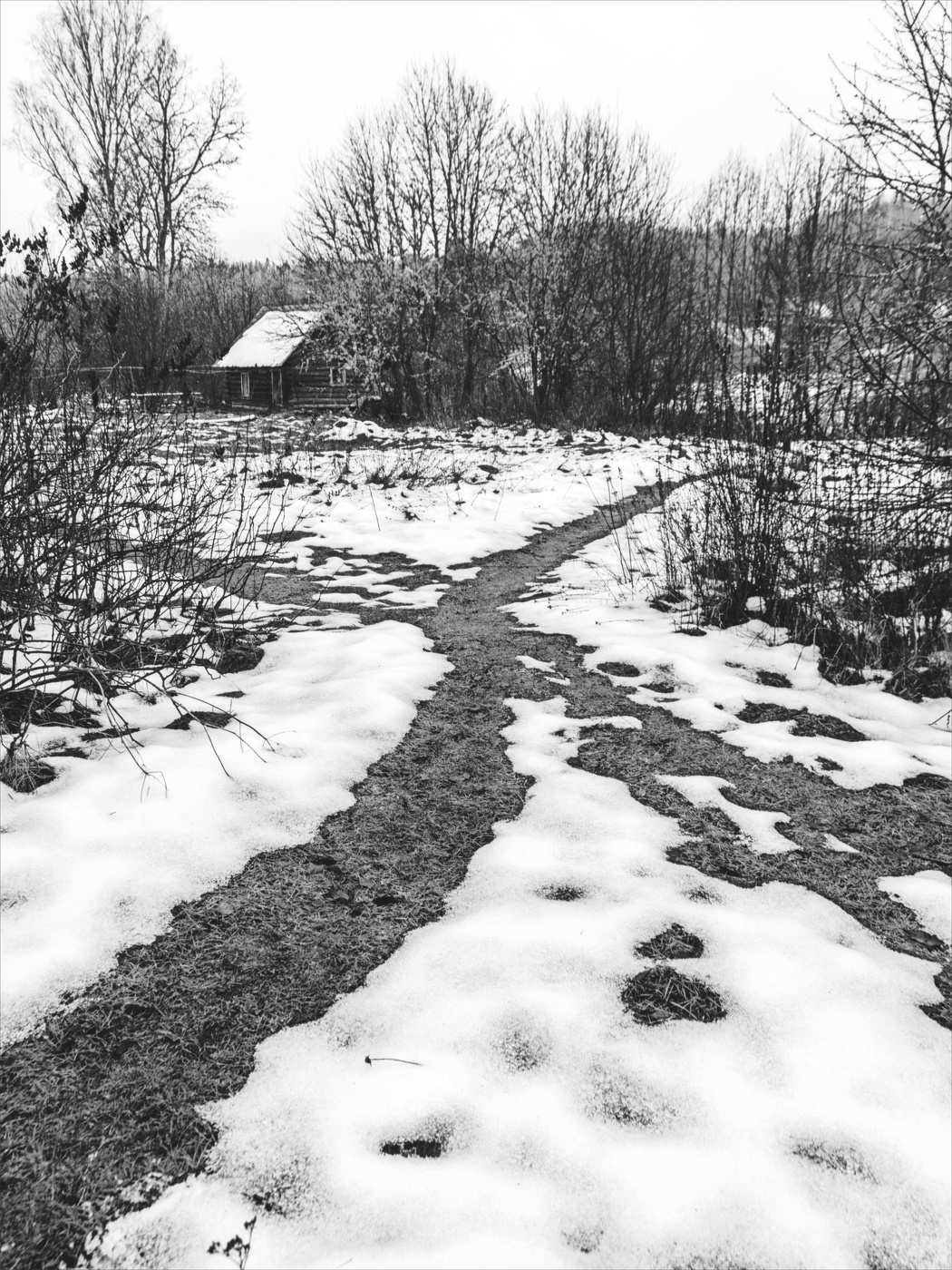 Жизнь вокруг