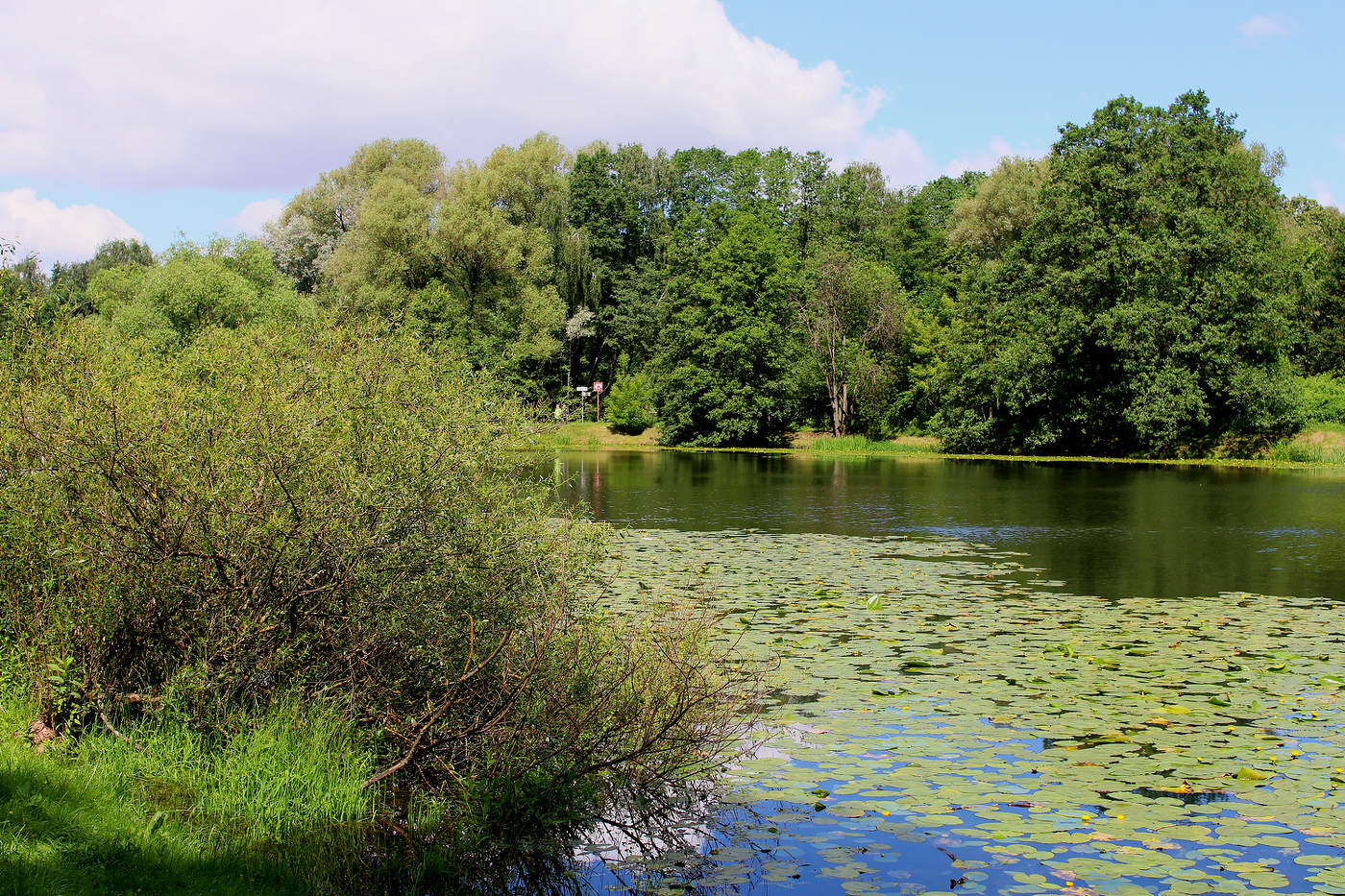 Нижний Кузьминский пруд