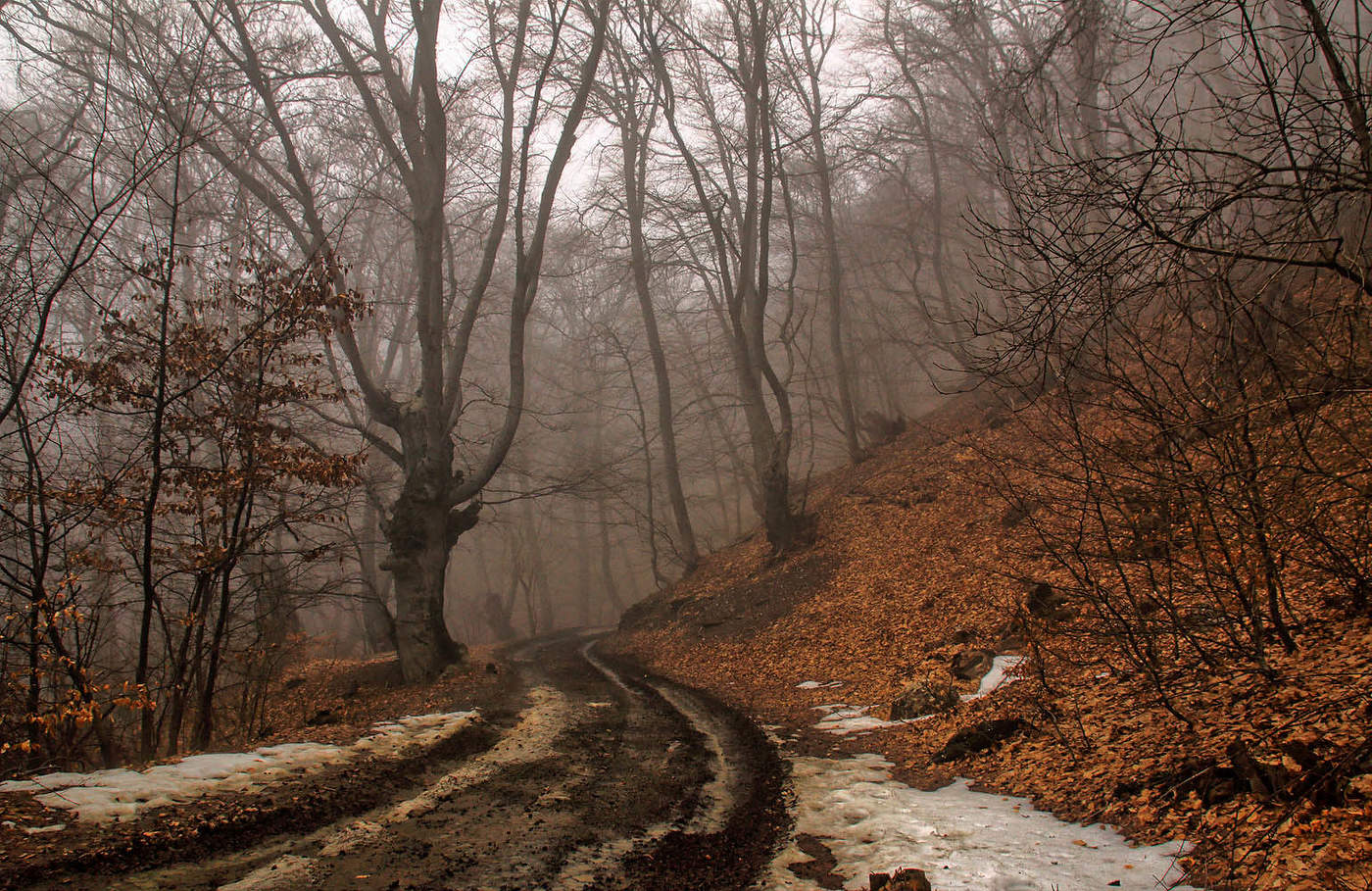 Горная дорога