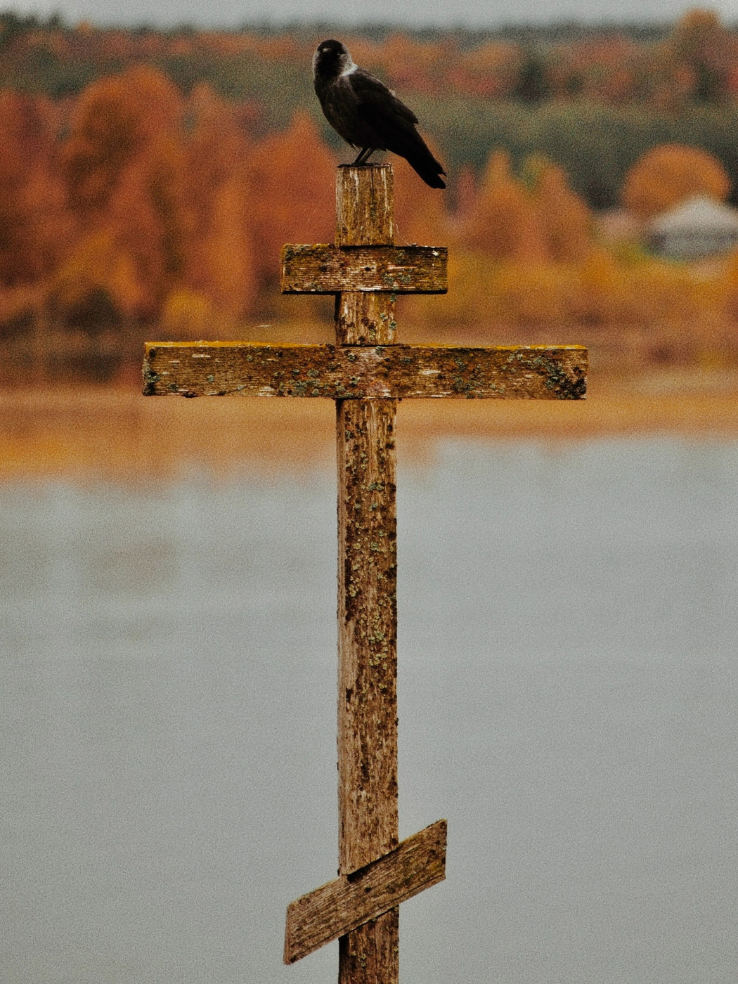 Проводник в иной мир