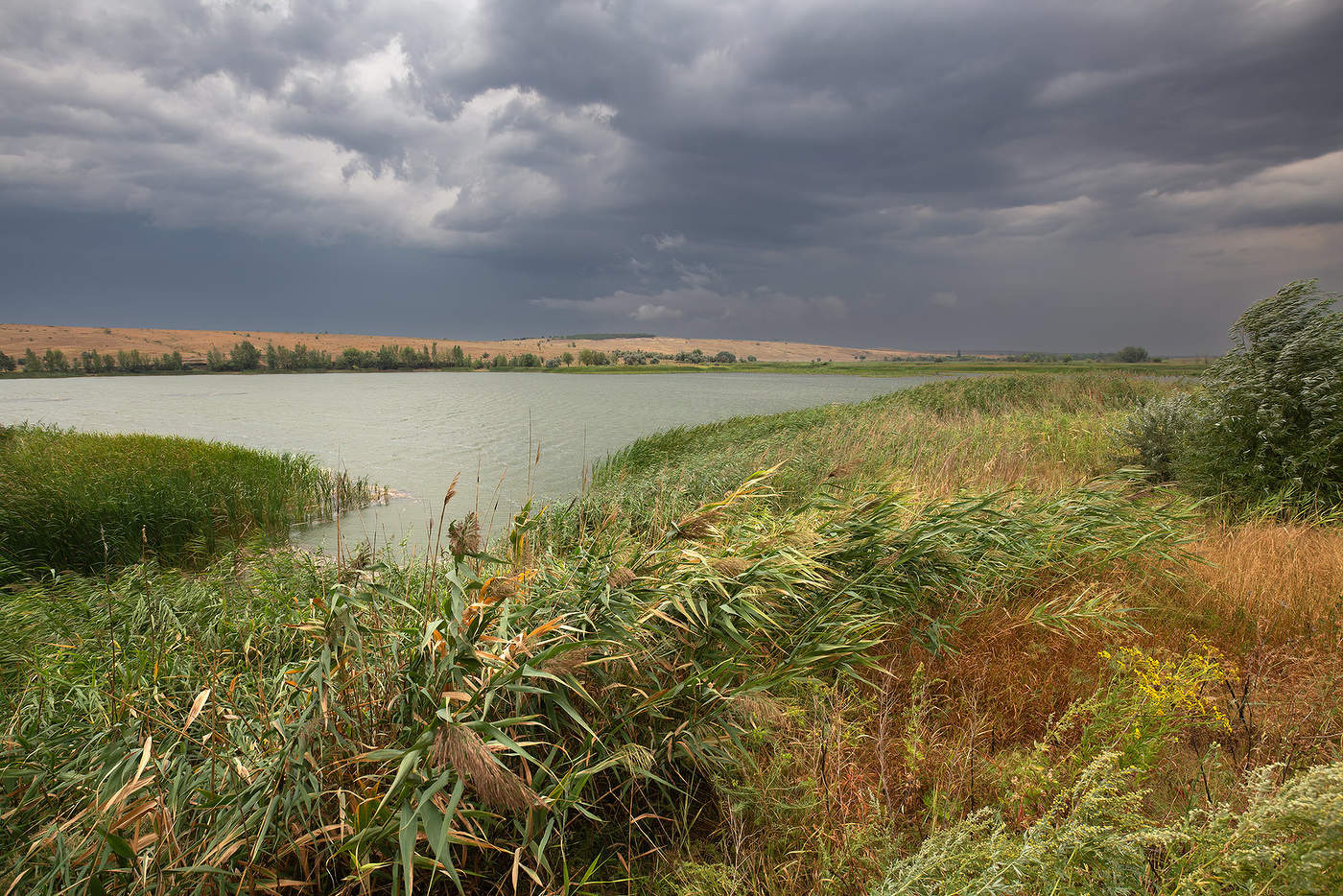 Поднимается ветер