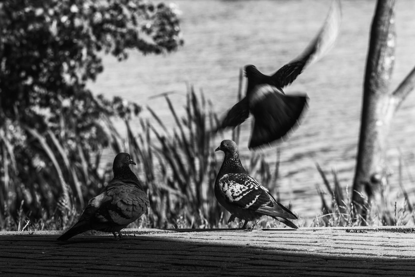 Третий лишний.