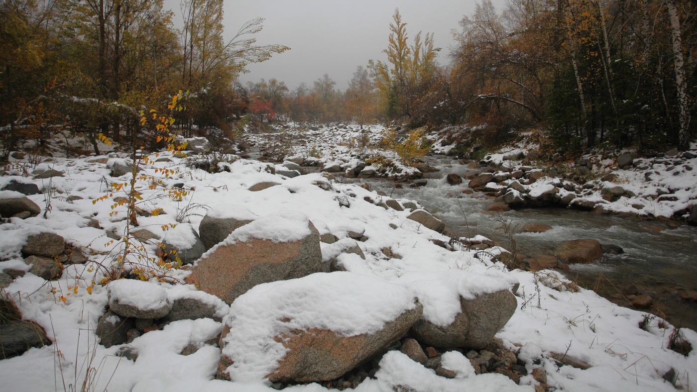 Брошенная осенью