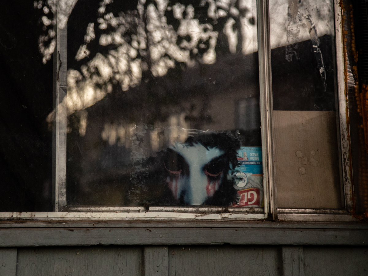 Взгляд из окна