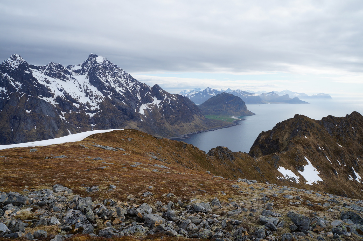 Ползущие к морю