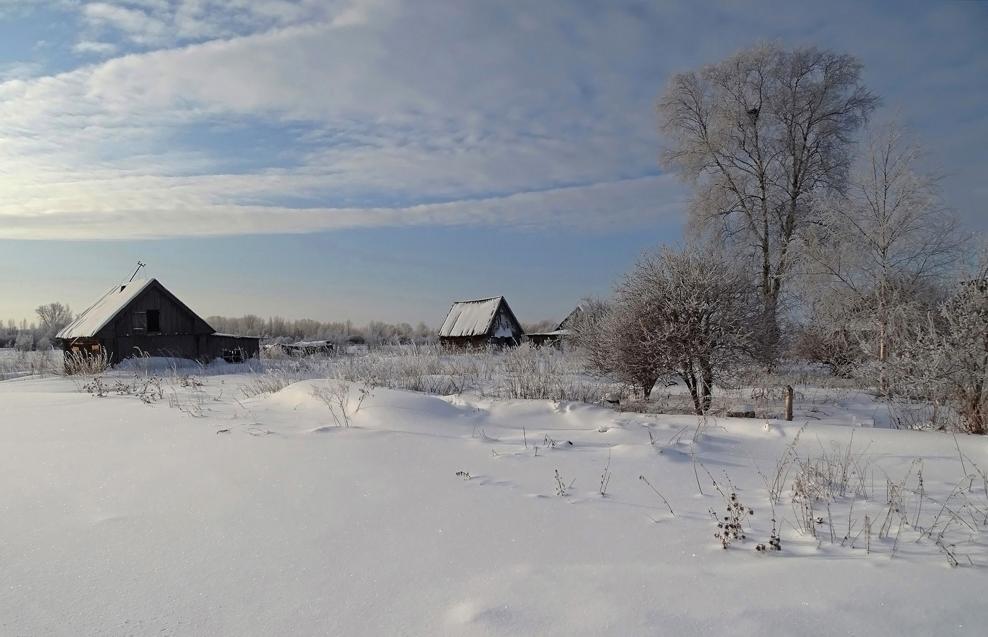 Зимнее забвение...