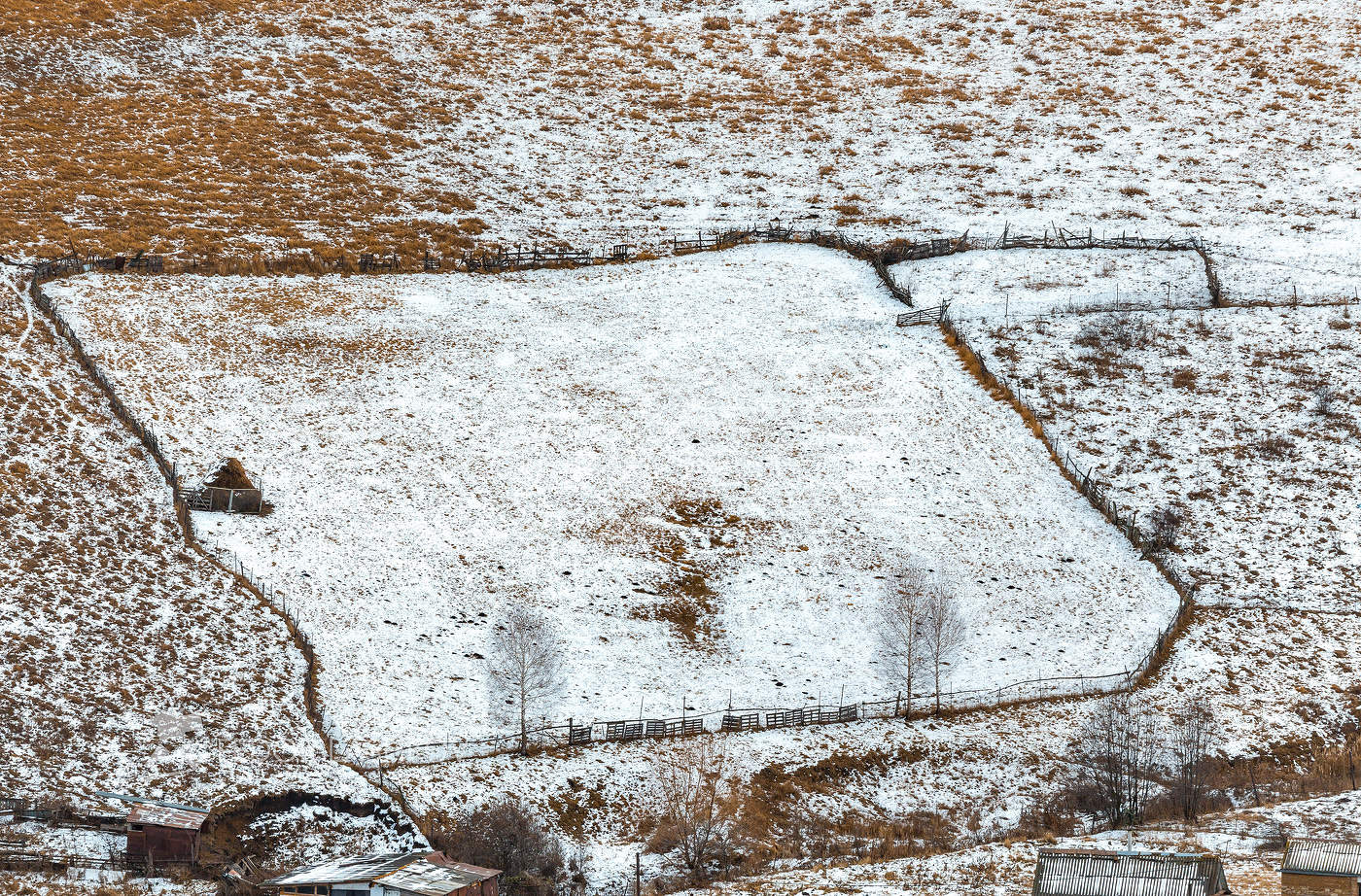Из серии "Графика первого снега"