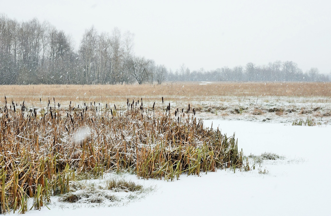 "Ноябрь - это время беззащитности ..."